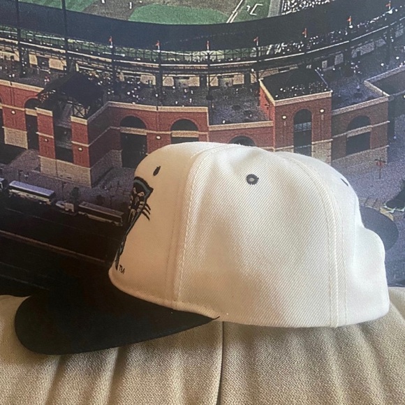 Vintage Carolina Panthers NFL Sports Specialties Wool Snapback Cap Hat 90s - Picture 3 of 7